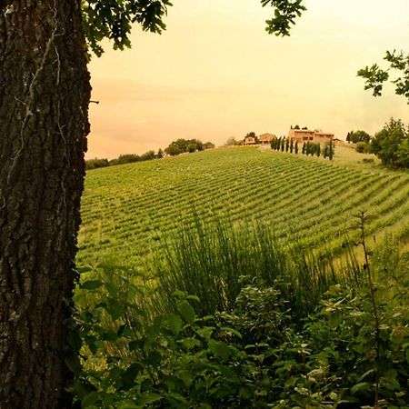 Casali Di Casole - Timbers Tuscany Casole d'Elsa Exterior photo