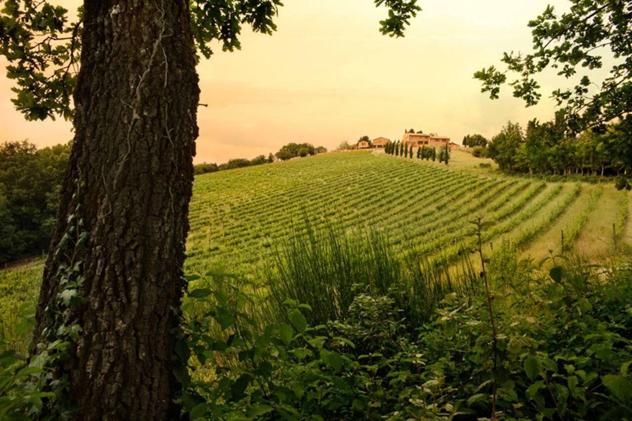 Casali Di Casole - Timbers Tuscany Casole d'Elsa Exterior photo